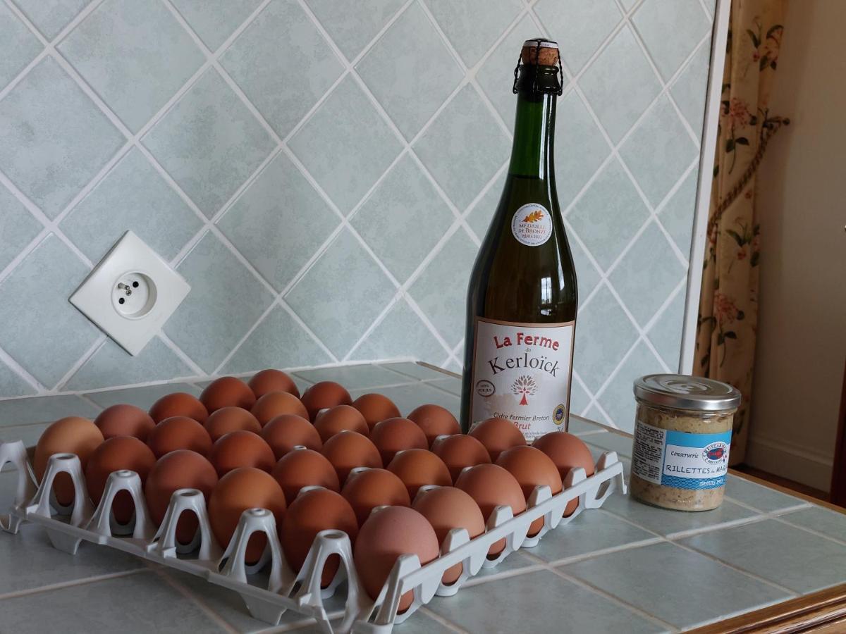 Ty Ann Maison Avec Jardin Clos De Mur, A Proximite Des Commerces Et A 3Km Des Plages Penvenan Bagian luar foto